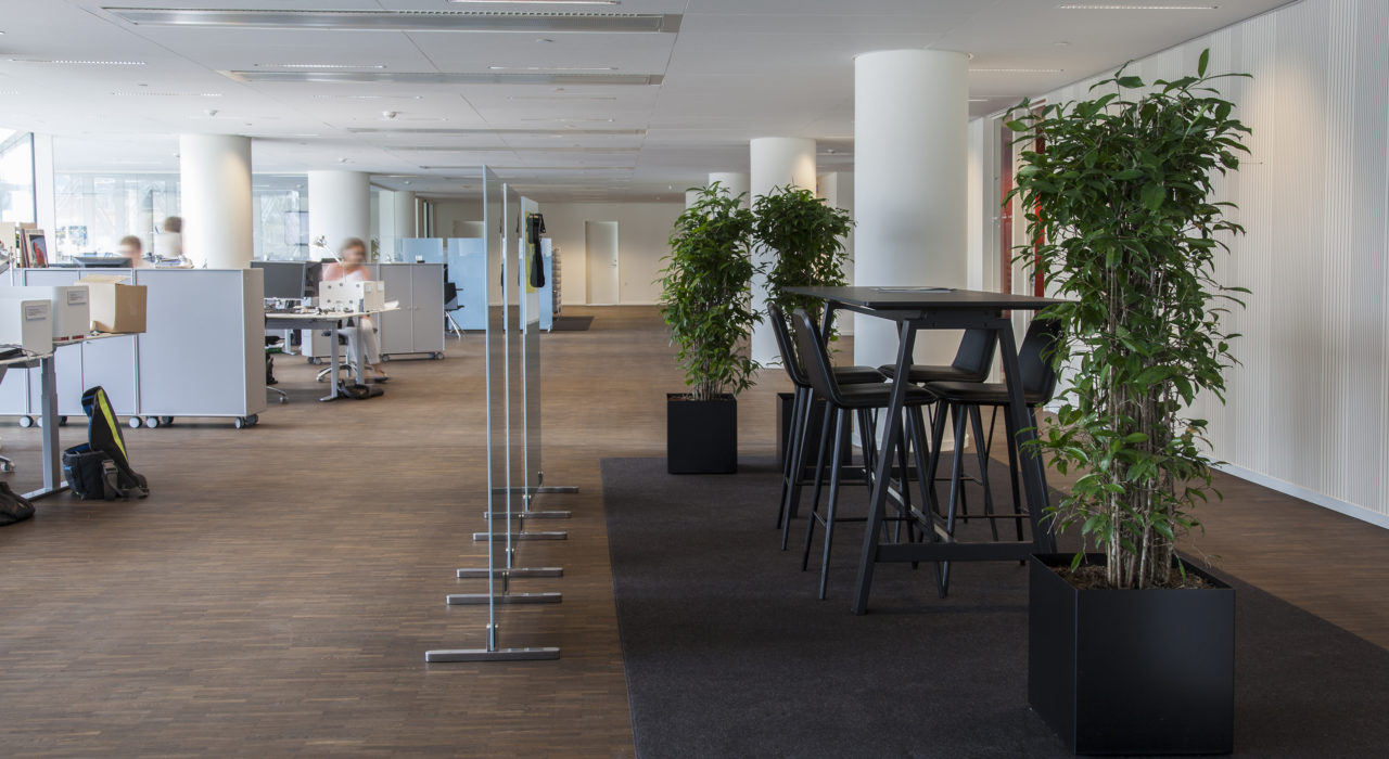 dark grey wool felt rug under open meeting area