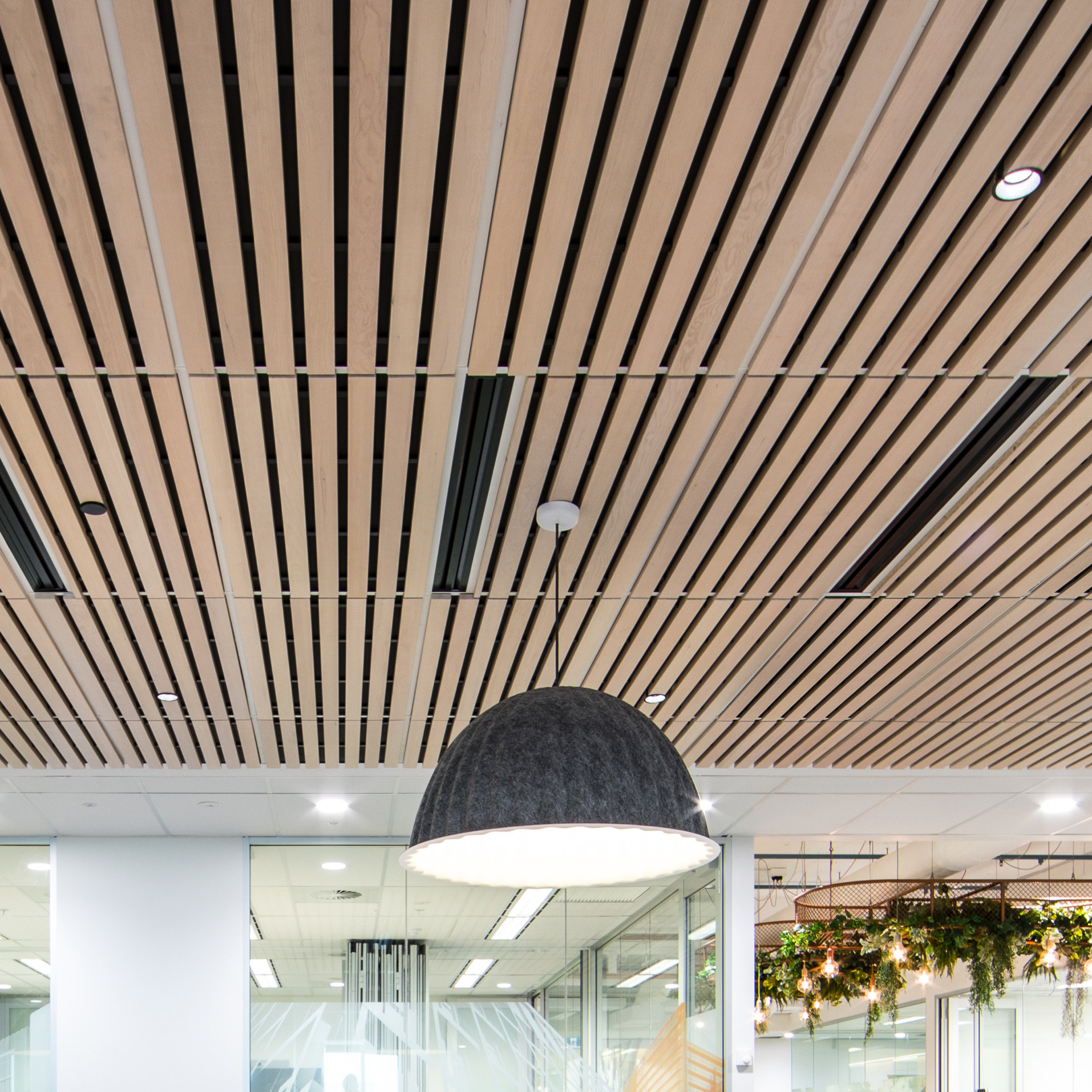 Ecoustic® Timber Ceiling Blade | Acoustic Drop-Ceiling Tile