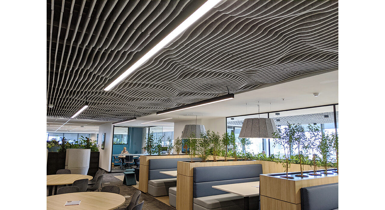 sound absorbing acoustic drop ceiling tiles in cafeteria