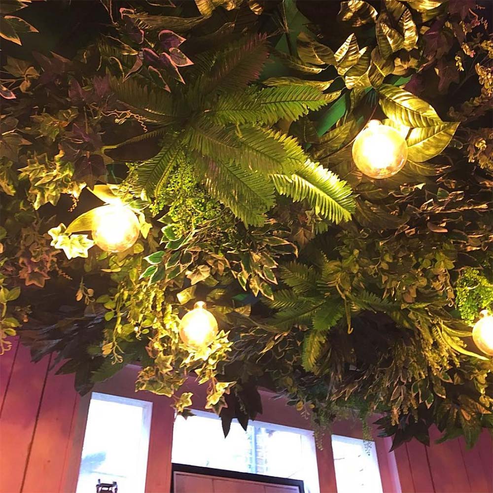 plants in a ceiling light fixture