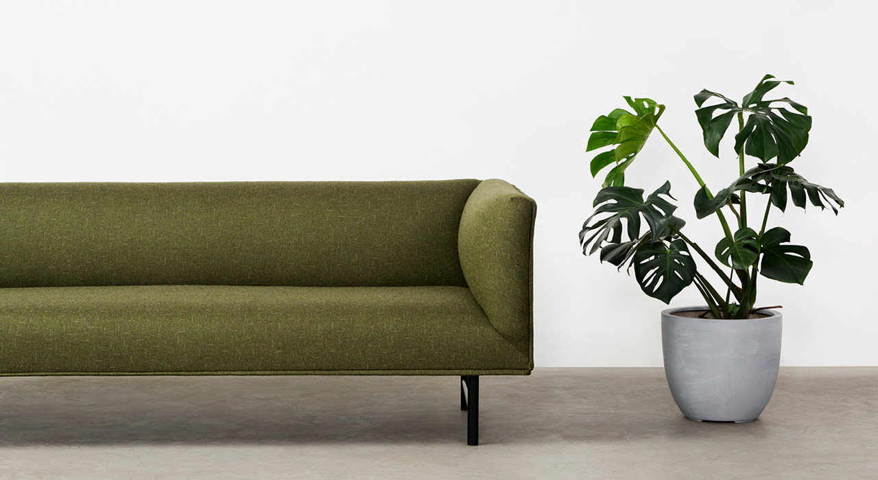 dark green fabric on sofa with plant nearby